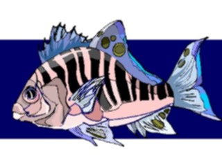 Sticker Custom Preview Image #015208 Animals Aquatic Fish103
