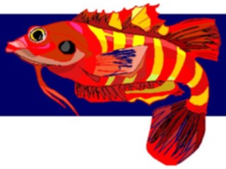 Sticker Custom Preview Image #015209 Animals Aquatic Fish104