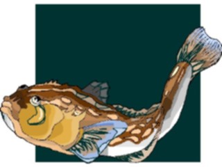 Sticker Custom Preview Image #015210 Animals Aquatic Fish105