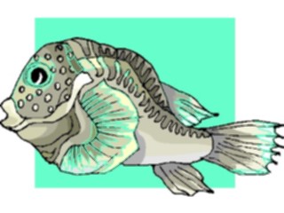Sticker Custom Preview Image #015211 Animals Aquatic Fish106