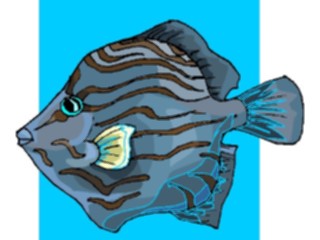 Sticker Custom Preview Image #015212 Animals Aquatic Fish107