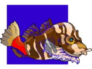 Sticker Custom Preview Image #015213 Animals Aquatic Fish108
