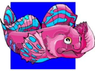 Sticker Custom Preview Image #015214 Animals Aquatic Fish109