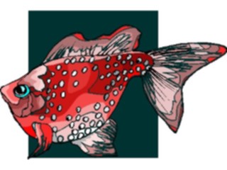 Sticker Custom Preview Image #015215 Animals Aquatic Fish110
