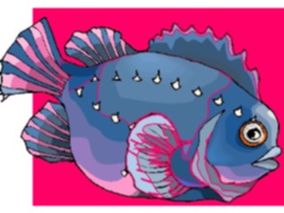 Sticker Custom Preview Image #015216 Animals Aquatic Fish111