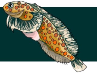 Sticker Custom Preview Image #015217 Animals Aquatic Fish112