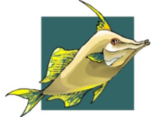 Sticker Custom Preview Image #015218 Animals Aquatic Fish113