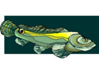 Sticker Custom Preview Image #015219 Animals Aquatic Fish114