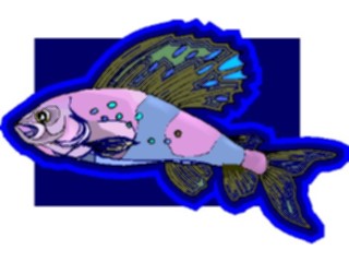 Sticker Custom Preview Image #015220 Animals Aquatic Fish115