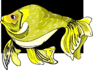 Sticker Custom Preview Image #015221 Animals Aquatic Fish116