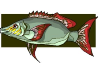 Sticker Custom Preview Image #015222 Animals Aquatic Fish117
