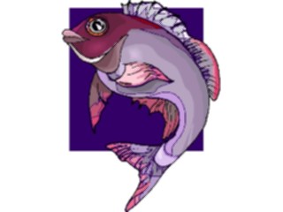 Sticker Custom Preview Image #015224 Animals Aquatic Fish119