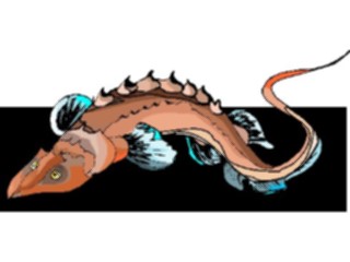 Sticker Custom Preview Image #015226 Animals Aquatic Fish121