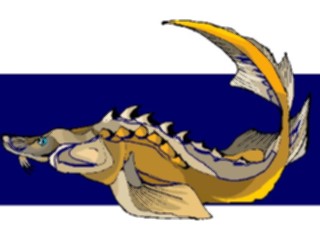 Sticker Custom Preview Image #015229 Animals Aquatic Fish124