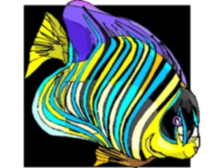 Sticker Custom Preview Image #015231 Animals Aquatic Fish126