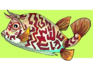 Sticker Custom Preview Image #015232 Animals Aquatic Fish127