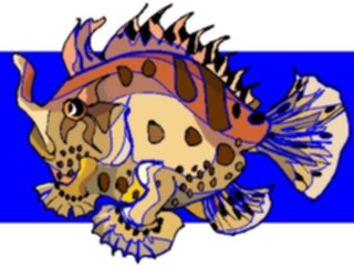 Sticker Custom Preview Image #015233 Animals Aquatic Fish128
