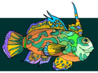 Sticker Custom Preview Image #015234 Animals Aquatic Fish129