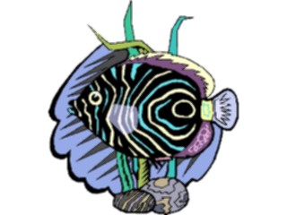 Sticker Custom Preview Image #015237 Animals Aquatic Fish132