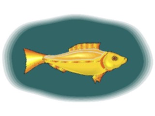 Sticker Custom Preview Image #015247 Animals Aquatic Fish142