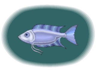 Sticker Custom Preview Image #015248 Animals Aquatic Fish143