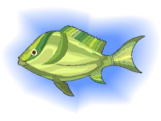 Sticker Custom Preview Image #015249 Animals Aquatic Fish144