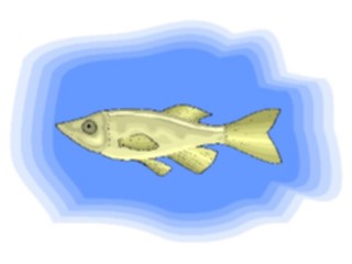 Sticker Custom Preview Image #015253 Animals Aquatic Fish148