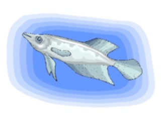 Sticker Custom Preview Image #015254 Animals Aquatic Fish149