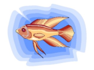Sticker Custom Preview Image #015255 Animals Aquatic Fish150