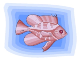 Sticker Custom Preview Image #015257 Animals Aquatic Fish152