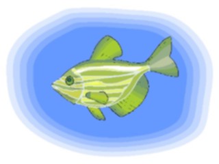Sticker Custom Preview Image #015258 Animals Aquatic Fish153