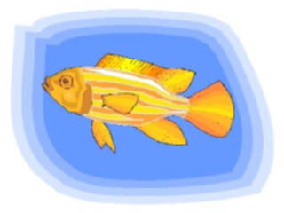 Sticker Custom Preview Image #015259 Animals Aquatic Fish154