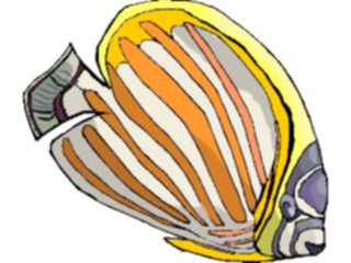 Sticker Custom Preview Image #015262 Animals Aquatic Fish157