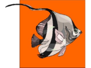 Sticker Custom Preview Image #015263 Animals Aquatic Fish158