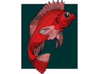 Sticker Custom Preview Image #015265 Animals Aquatic Fish160