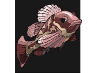Sticker Custom Preview Image #015266 Animals Aquatic Fish161
