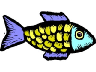 Sticker Custom Preview Image #015267 Animals Aquatic Fish162