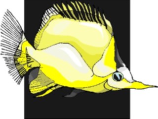 Sticker Custom Preview Image #015268 Animals Aquatic Fish163