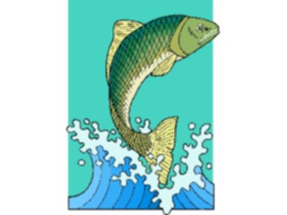 Sticker Custom Preview Image #015270 Animals Aquatic Fish165