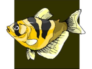 Sticker Custom Preview Image #015271 Animals Aquatic Fish166