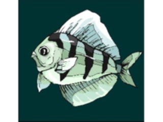 Sticker Custom Preview Image #015272 Animals Aquatic Fish167