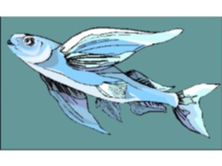 Sticker Custom Preview Image #015273 Animals Aquatic Fish168