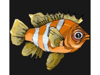 Sticker Custom Preview Image #015274 Animals Aquatic Fish169