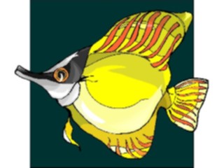 Sticker Custom Preview Image #015275 Animals Aquatic Fish170