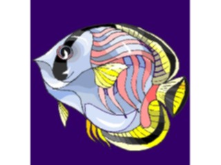 Sticker Custom Preview Image #015276 Animals Aquatic Fish171