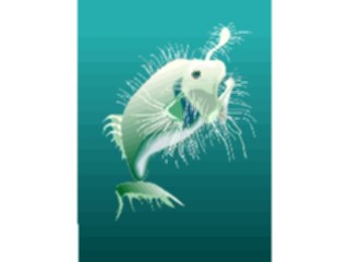 Sticker Custom Preview Image #015278 Animals Aquatic Fish173