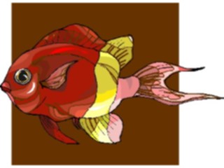 Sticker Custom Preview Image #015279 Animals Aquatic Fish174