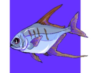 Sticker Custom Preview Image #015282 Animals Aquatic Fish177