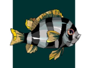 Sticker Custom Preview Image #015283 Animals Aquatic Fish178