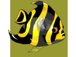 Sticker Custom Preview Image #015284 Animals Aquatic Fish179